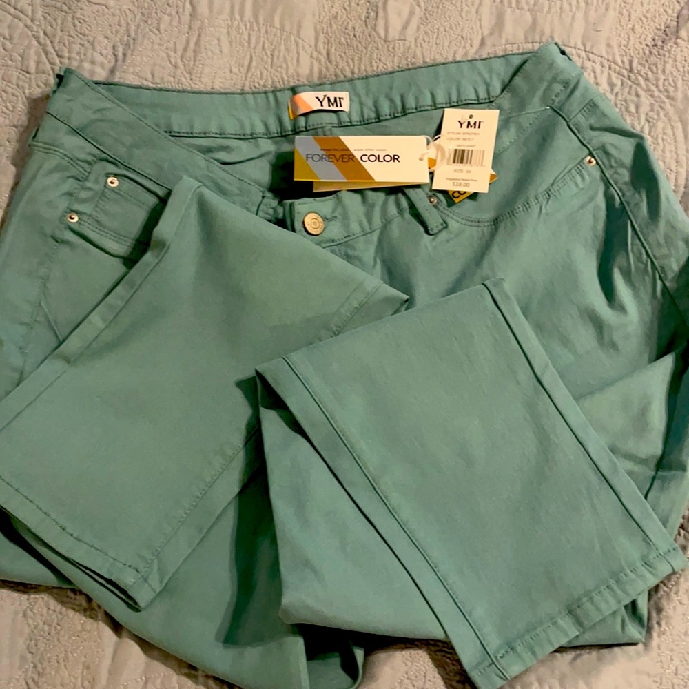 COPY - YMI skinnies size 3x